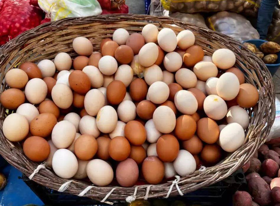 Beyaz mı kahverengi mi? Hangi yumurta daha sağlıklı? 36